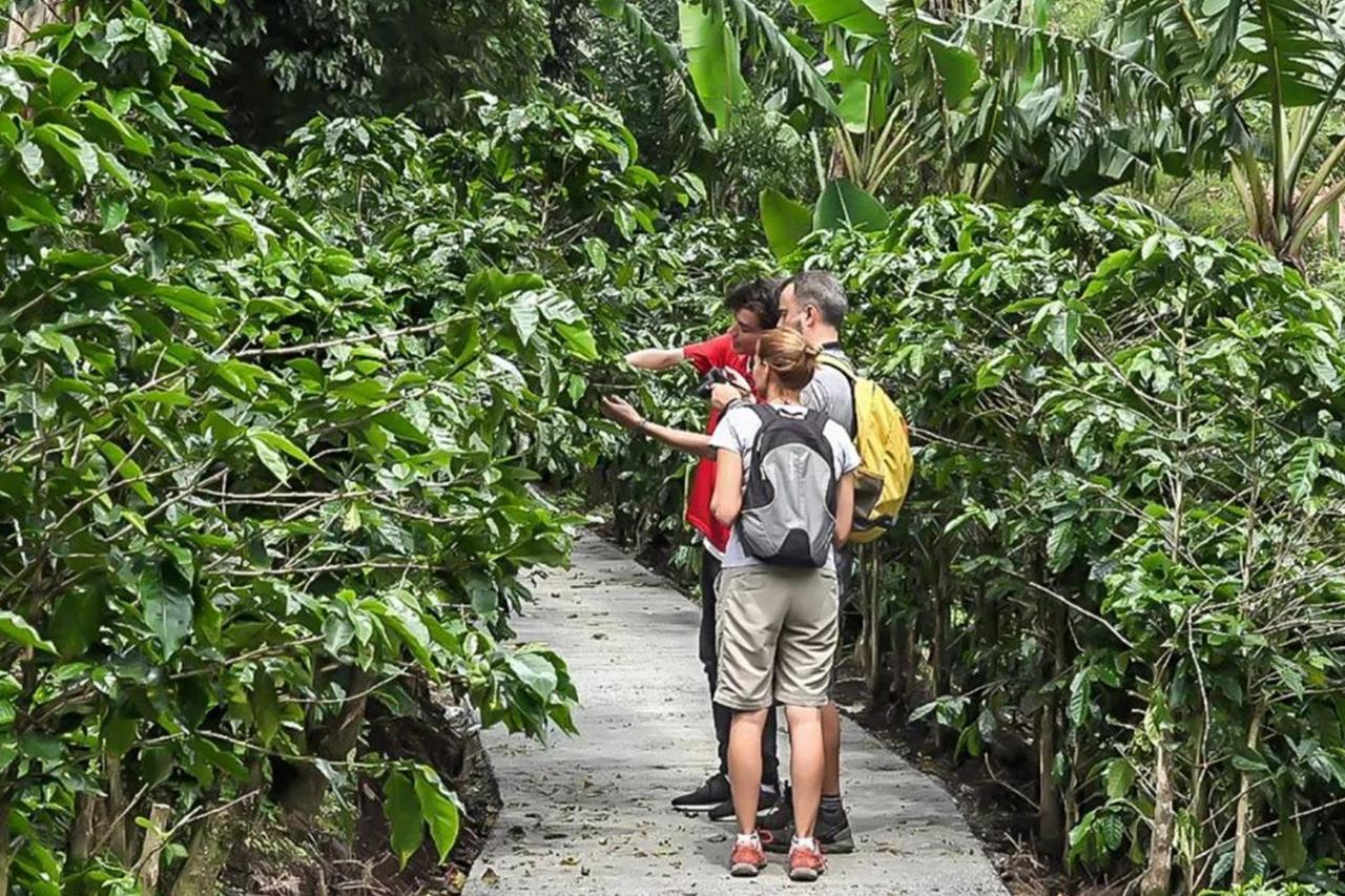 Monteverde Lodge & Gardens By Boeena ภายนอก รูปภาพ